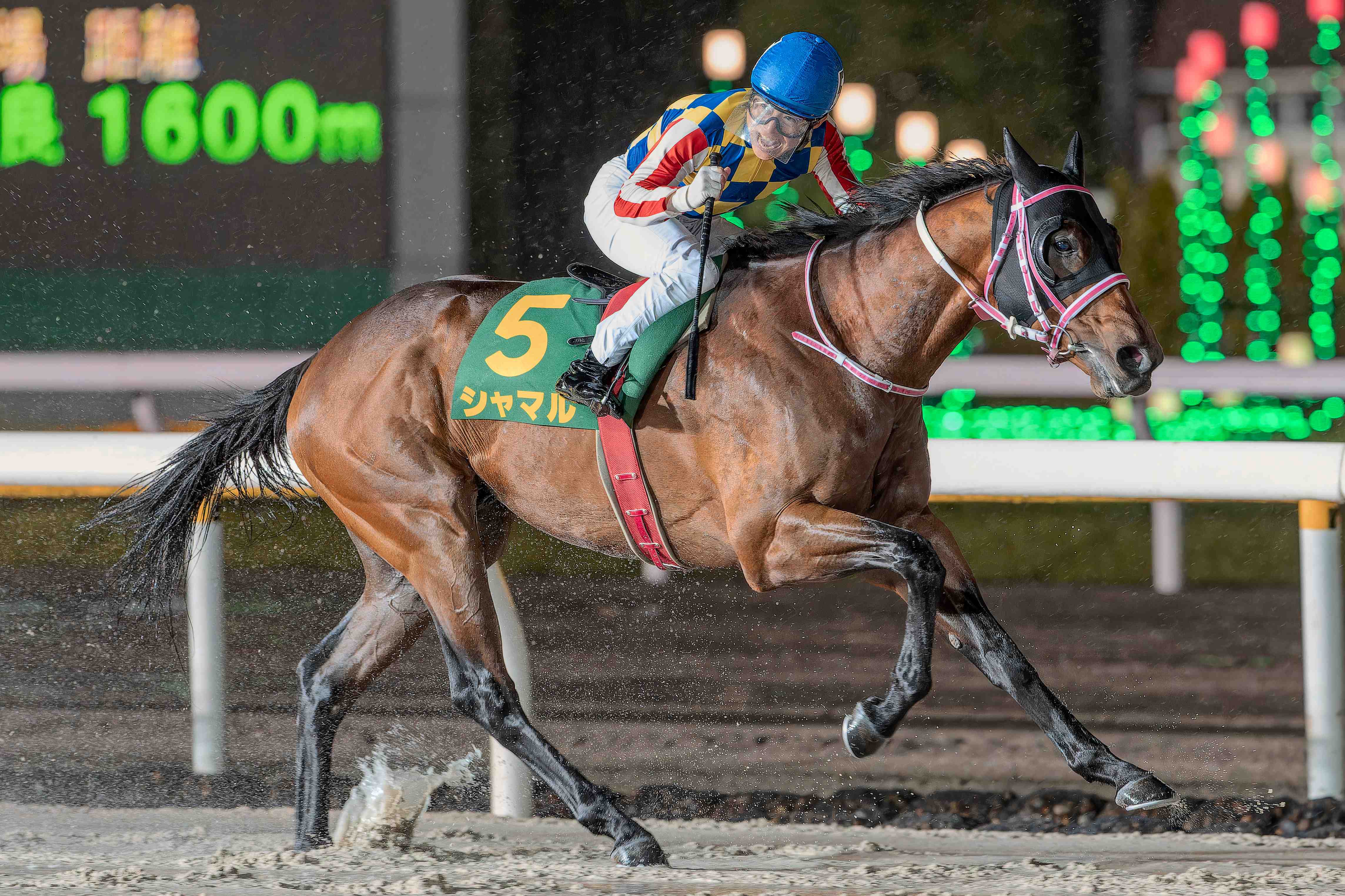 🏇 후나바시 경마장 이미지 9